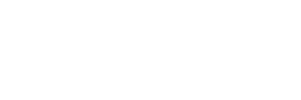 Genius IT Strategies